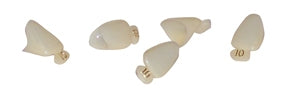 Polycarbonate Crowns (Left) Upper Lateral *Choose Size* (5) Per Box  - Mark3